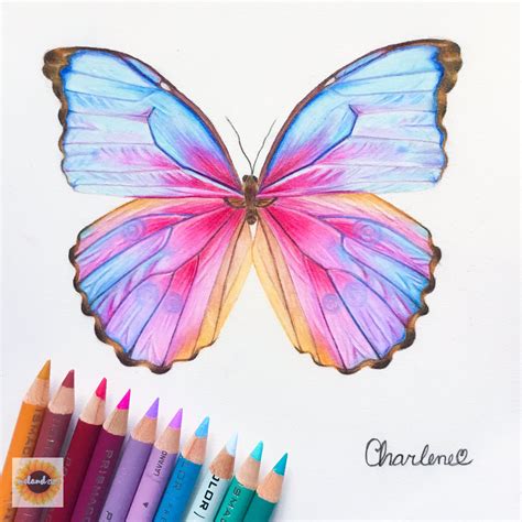 Simple Creative Color Pencil Drawing Ideas For Beginners Wasza