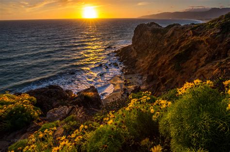 Golden Windswept Malibu Coast Sunset - Outdoor Photographer