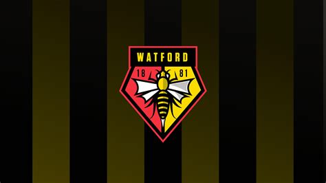 Watford FC Logo Challenge | Reflect Digital