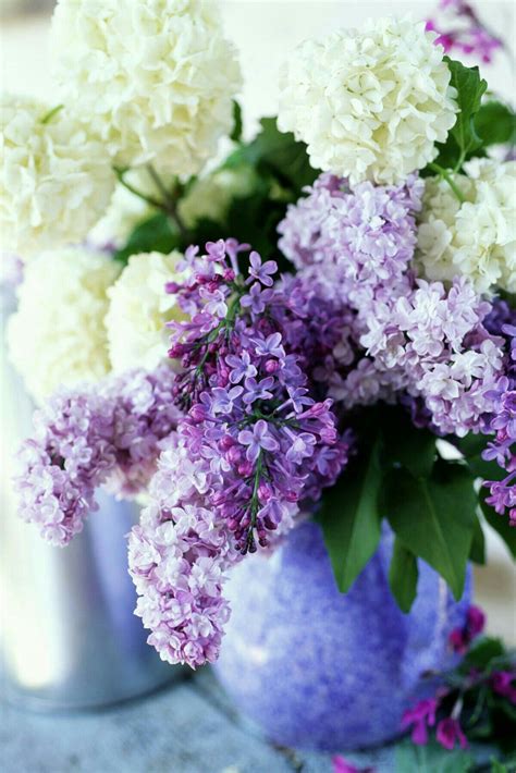 Pin By Karenkittycarter On Flower Bouquets With Images Lilac Bushes