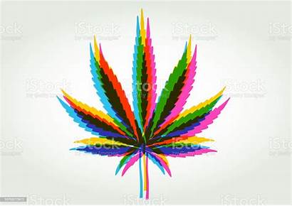 Marijuana Cannabis Vector Leaves Leaf Illustration Illustrations
