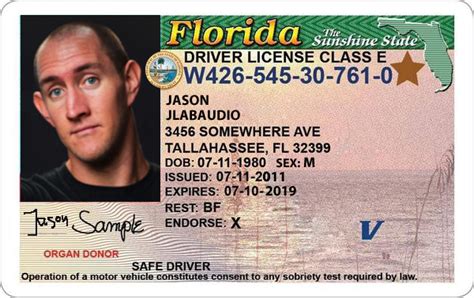 An Example Of Jasons Future Driving License High Names