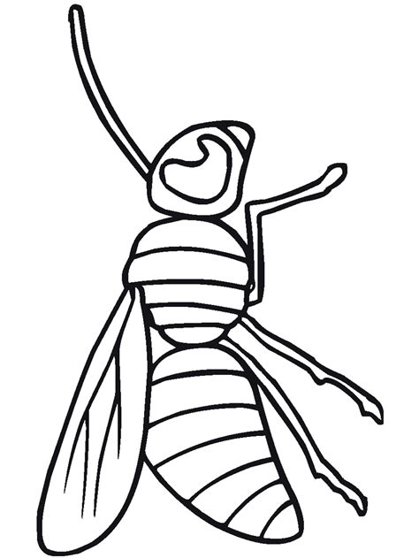 40+ free printable ladybug coloring pages for printing and coloring. Bug & Insect Coloring Pages - PrimaryGames.com
