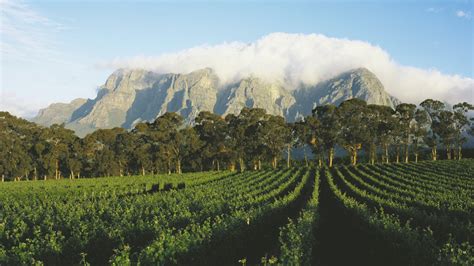 However there are many things about the city that are hidden from plain sight or have simply been forgotten, with some secrets occurring right under our feet. Wine Tasting in South Africa's Winelands - Vogue