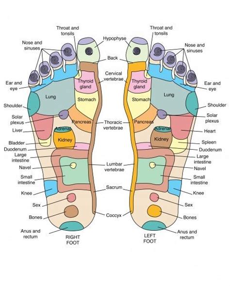 Print Of Reflexology Foot Map Artwork Reflexology Foot Map Foot Reflexology Reflexology Chart