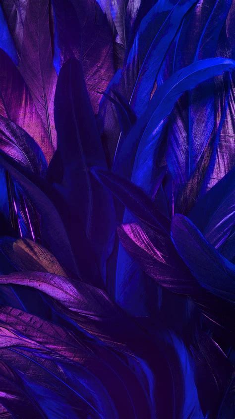 Iphone Purple Colour Wallpaper Pics