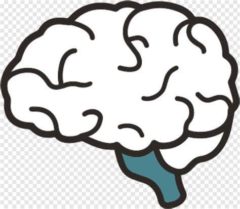 Simple Swirls Brain Human Brain Brain Outline Brain Clipart
