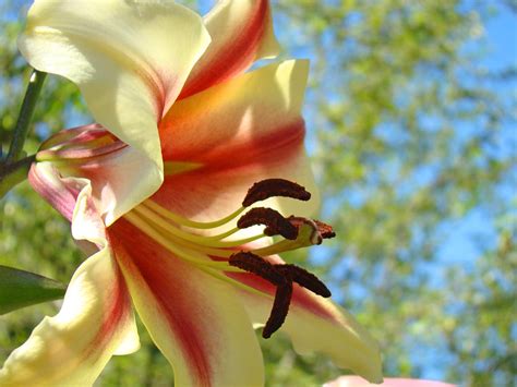 We did not find results for: Wild Orchid Des Moines Florist - Des Moines Flower Shops ...