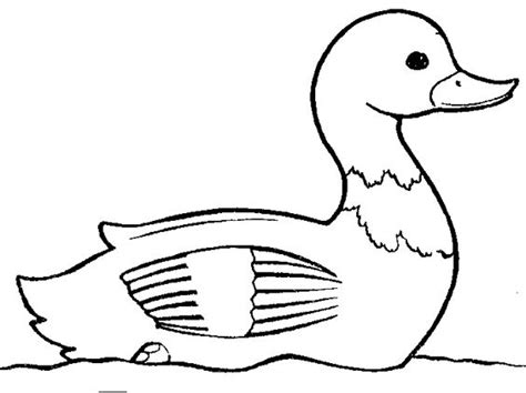 Duck Clipart Black And White Clipart Best