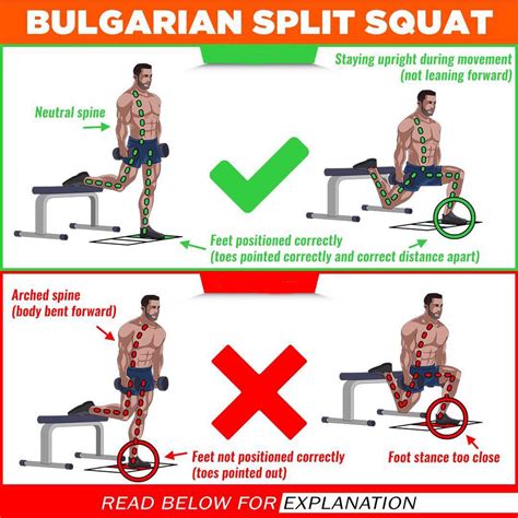 How To Correctness Of The Execution Bulgarian Split Squat And Video