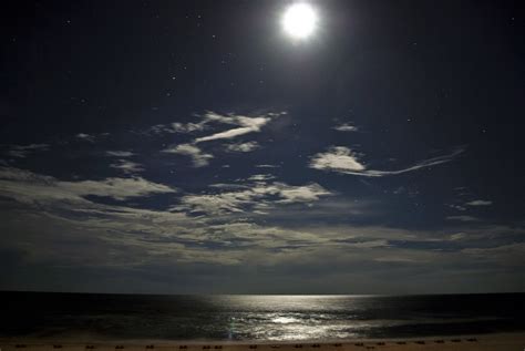 Moonlight Beach Moon Free Photo On Pixabay