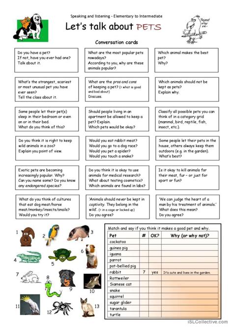 Lets Talk About Pets English Esl Worksheets Pdf And Doc