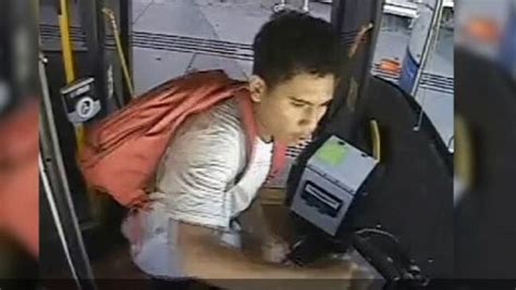 Brisbane Bus Assault Driver Punched In The Head Video The Courier Mail