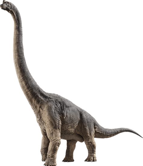 Brachiosaurus Dinosaur Wiki Fandom