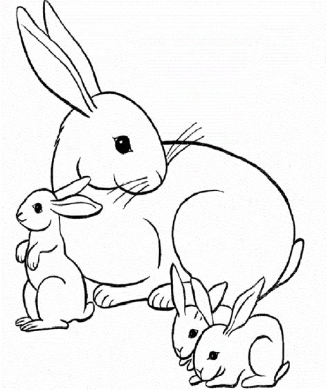 Dibujos De Conejos Para Colorear Imágenes Para Imprimir Y Pintar