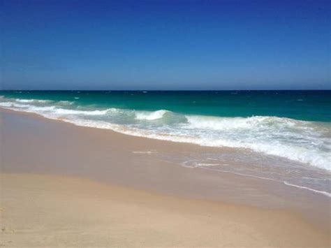 Wild Nudist Beach With Mostly Elderly Men Review Of Swanbourne Beach Swanbourne Australia