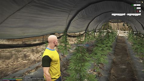 Profile pictures gta tryhard pfp. Gta V Fivem Weed Locations - WICOMAIL