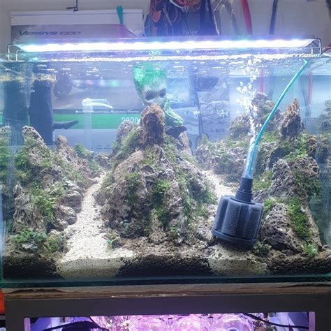 Berikut 15 jenis aquascape yang sangat cocok untuk pemula. Jual aquascape aquarium iwagumi jadi ukuran 60 cm fullset ...