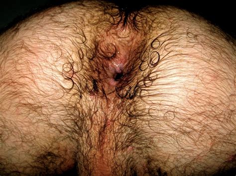 Hairy Ass Hole Album Photo Par Macho Kctpeludo