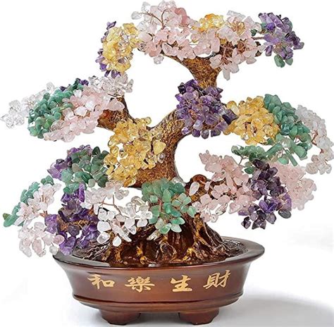 Feng Shui Money Tree Plant Use It To Attract Wealth