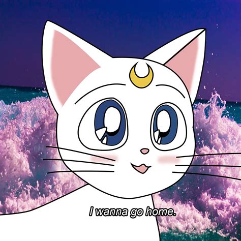 Sailor Moon Jupiter Sailor Moon Cat Sailor Moon Blanket Alien