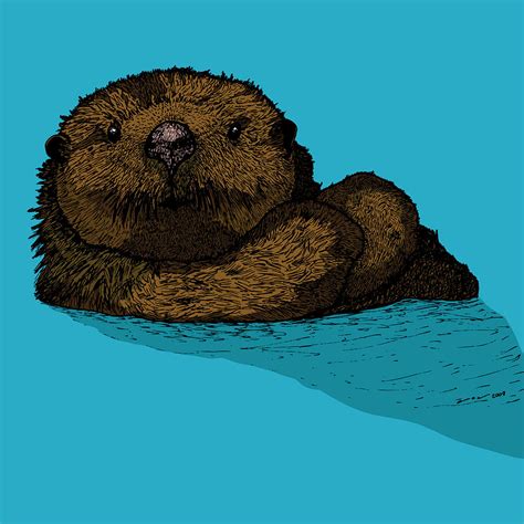 Sea Otter Full Color Drawing By Karl Addison Fine Art America