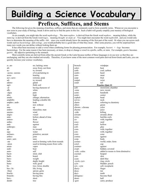 Vocab Builder Prefixes Suffixes Stems