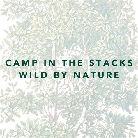 Camp In The Stacks Wild By Nature Charleston Library Society