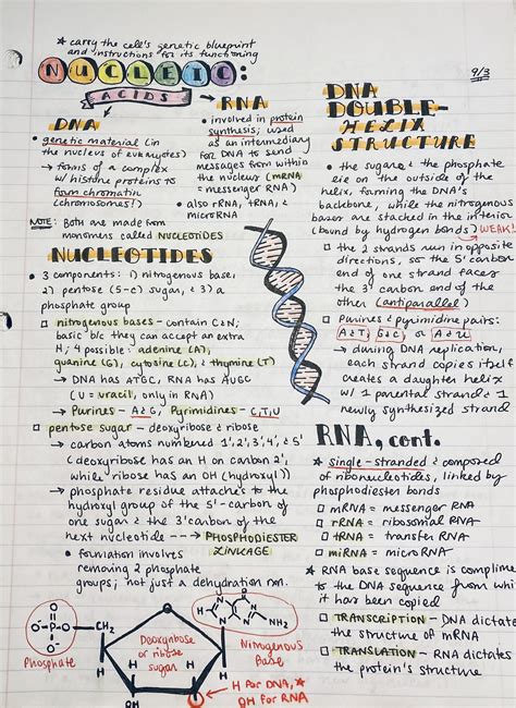 Ap Biology Notes 70 Pages Etsy Uk