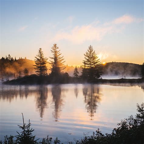 2048x2048 Lake Reflection Morning Mist Trees Nature Hd 4k Ipad Air Hd