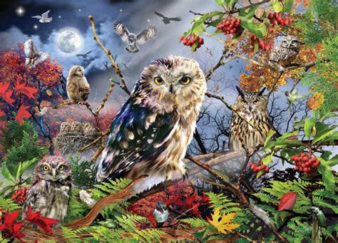 jumbo jigsaw puzzle owls   moonlight  piece jigsaw puzzle