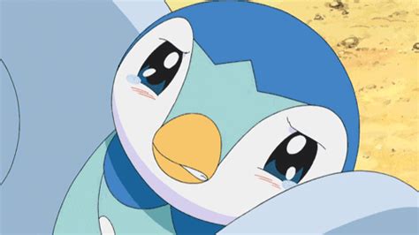 Piplup GIFs - Find & Share on GIPHY