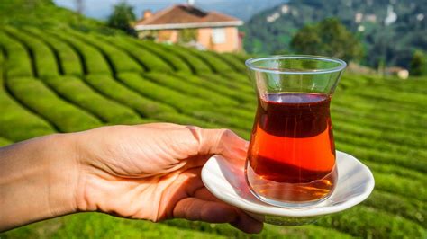 how new brews are stirring up turkey s tea paradise cnn