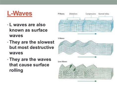 L Waves