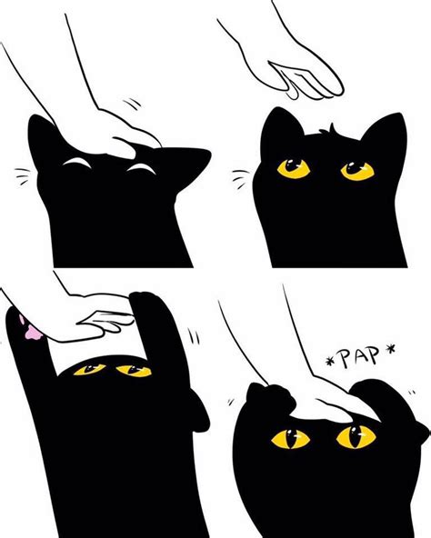 Generic Meme Dump With A Reward At The End Black Cat Anime Cute