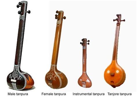 Types Of Tanpura Toss Levy