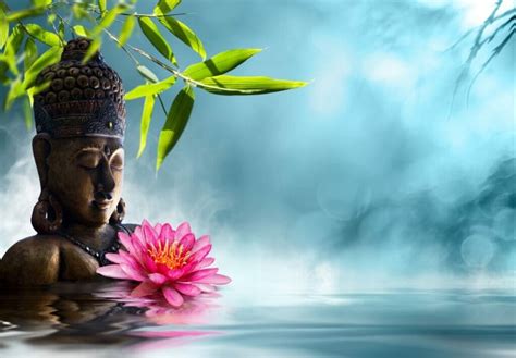 What Is The Spiritual Meaning Of A Lotus Flower Best Flower Site