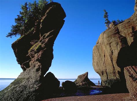 Low Tide At The Hopewell Rocks At Hopewell Cape New Brunswick Places