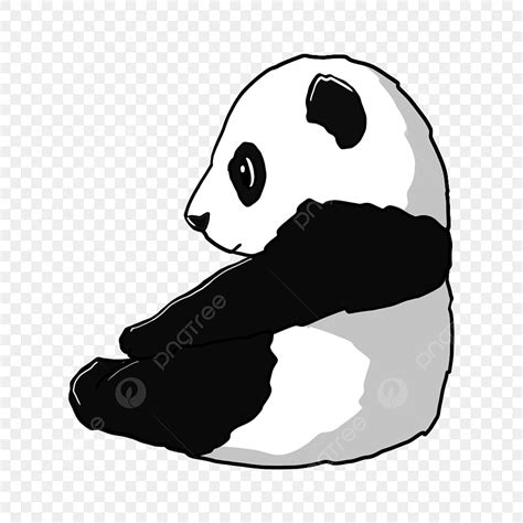 Hand Drawn Giant Panda Cute Panda Black And White Panda Sitting Giant