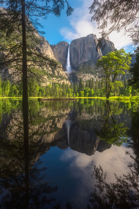 Yosemite Falls Reflected On A Flooded Meadow Yosemite National Park