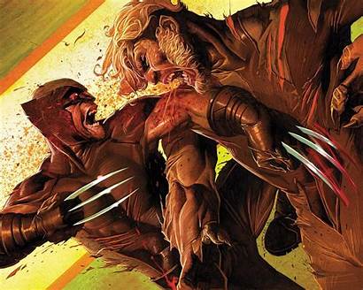 Wolverine Sabretooth Logan Sabertooth Marvel Wallpapers Comics