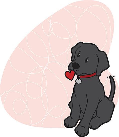 Black Labrador Cartoon Images Best Black Lab Puppy Illustrations