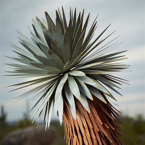 Joshua Tree Metal Landscape Art Desert Steel Desert Steel Co