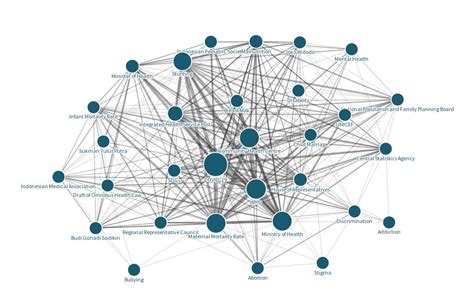 Network Graph SRMNCAH N Flourish