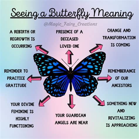What Does A Butterfly Symbolize