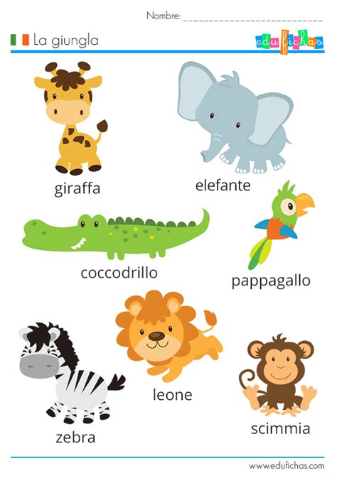 Blippi español se dirige al al lugar de juegos para aprender sobre los animales de la jungla. Vocabulario de la selva en italiano con ejercicio ...