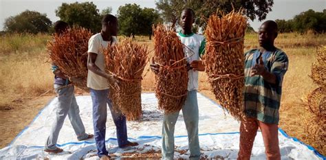Inclusive Development Of The Agricultural Sector In Burkina Faso