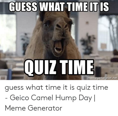 Quiz Time Meme Funny Dog Memes Time Meme Squirrel Memes