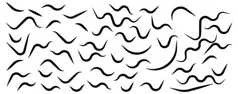 Premium Vector Hand Drawn Doodle Decorative Collection Of Squiggly