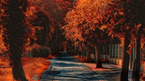 Wallpaper Autumn Trees Road Red Leaves Grass 2880x1800 Hd Picture